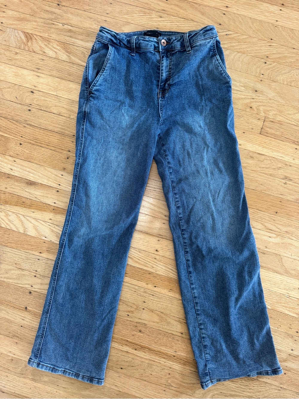Sanctuary Denim Wide-Leg Jeans Classic Denim Blue Distressed Wash 29” Y2K Retro